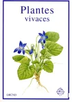 PLANTES VIVACES