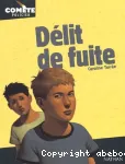 DELIT DE FUITE