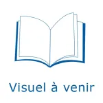 Le Robert & Collins Collège espagnol